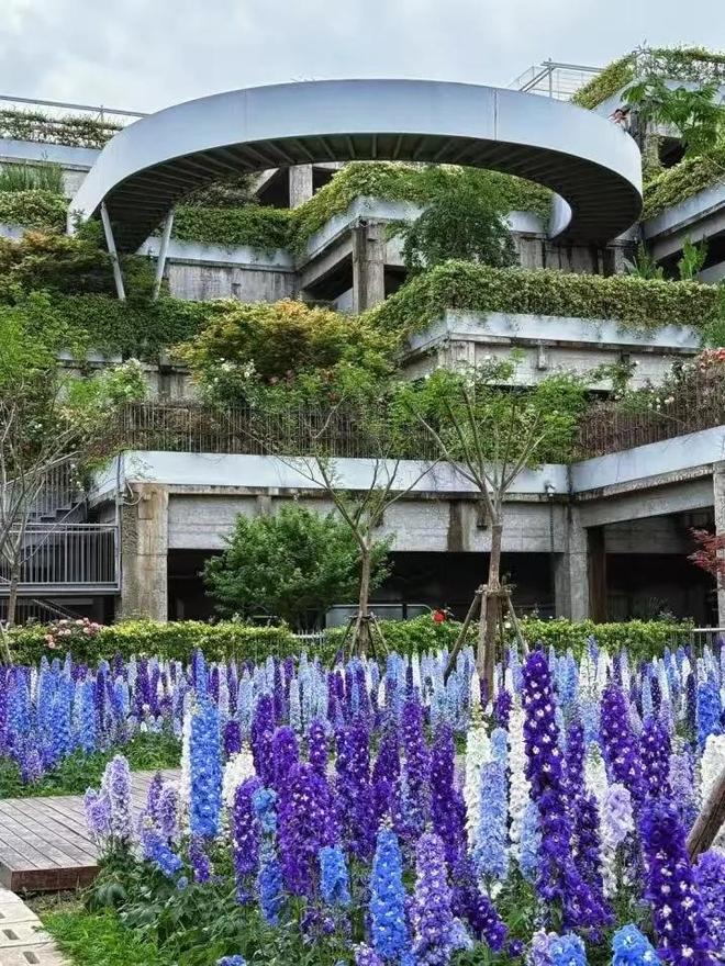 私藏一日约会路线个打卡点让TA心动一整天(图5)