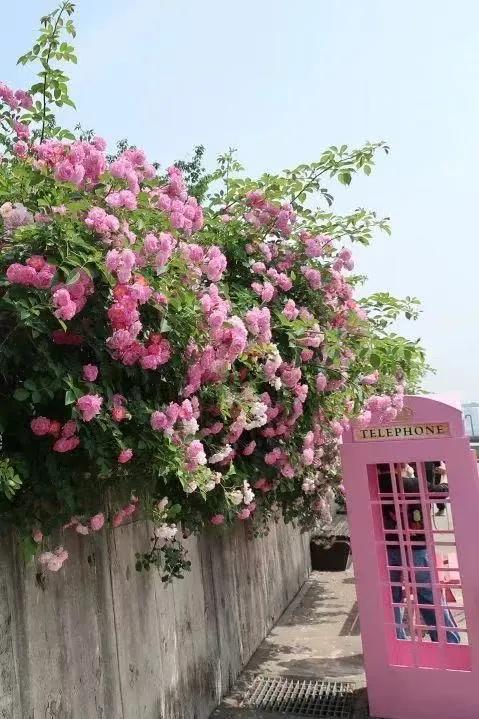 私藏一日约会路线个打卡点让TA心动一整天(图9)