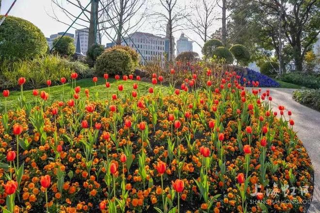 私藏一日约会路线个打卡点让TA心动一整天(图18)